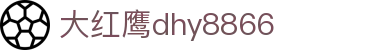 大红鹰dhy8866(中国)股份有限公司